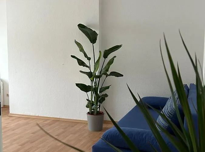 Gardenapartment